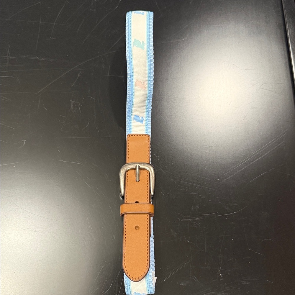 Janie and Jack Light Blue and Tan Toddlers Easter Belt 4-5 NWOT